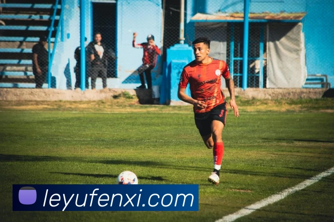 乐鱼体育APP 封面图